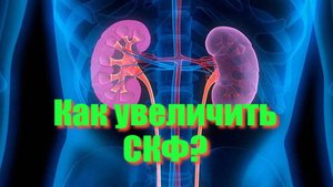 Как повысить СКФ? Как улучшить работу почек?