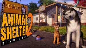 Самый добрый симулятор / Animal Shelter 2 #top #newgame