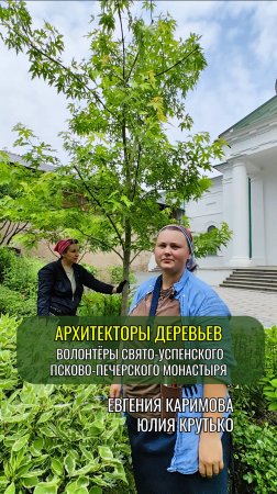Формирование сахаристого клёна в Свято-Успенском Псково-Печерском монастыре