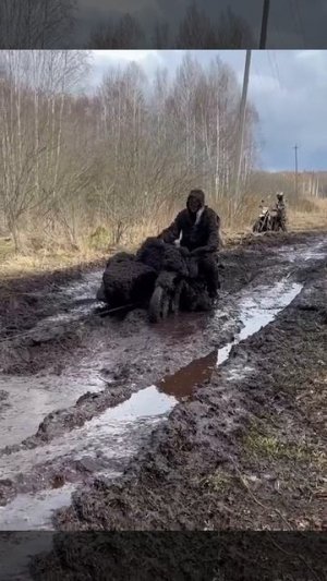 Призрачный гонщик