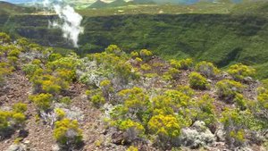 4K HDR Video ULTRA HD 120 FPS - Dolby Vision - Trim