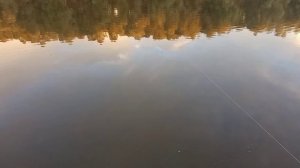 Река Обь протока 26 июля. Рыбалка на донки и поплавочную удочку.