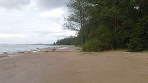 На пляже в Сосновом Бору Ленинградская область июль 2025