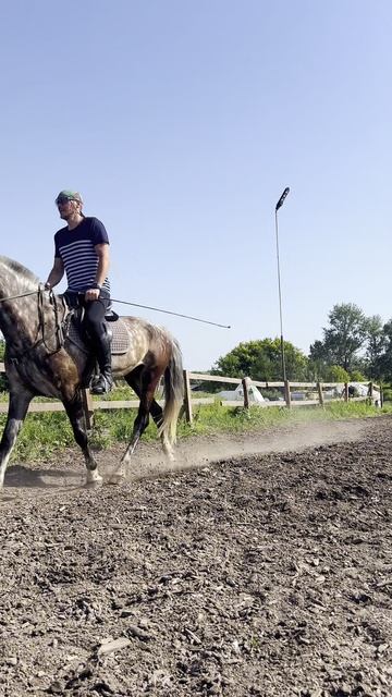 Конный клуб «Малинка» смотреть онлайн