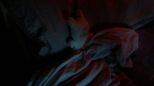 Лабубу - короткометражный фильм