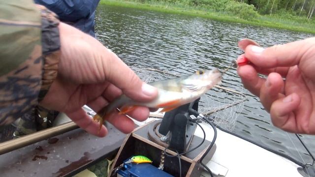 Рыбачим на таежном озере.