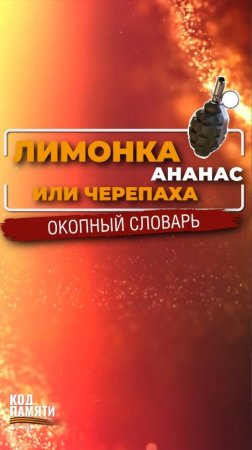Ананас, черепаха и лимонка. Окопный словарь