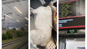 Поезд 🚉 523 ЕКАТЕРИНБУРГ-АДЛЕР//Приключения начинаются🧳🚆🏖️26.07.2025