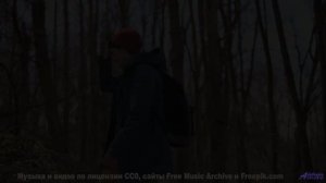 Видео, которое нельзя смотреть без нейроимплантов - или можно - Beetles -- Ketsa -- Metaphysics