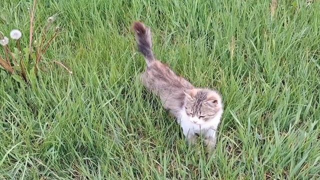 Барановский велопоход.mp4