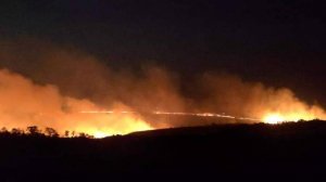 Крупный пожар произошел на Ставрополье