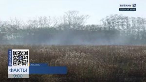 Огонь охватил 300 кв. метров сухой травы и угрожал домам в пригороде Анапы