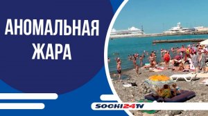 Синоптики предупреждают о сильной жаре в ближайшие дни