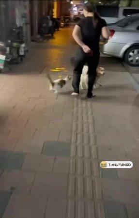 Зашли не в тот район😄