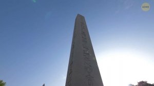 Древнее существо обнаружено подо льдом и другие редкие научные находки