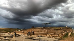 8. Животный мир Артезиана