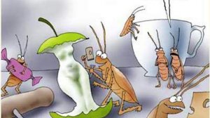 Тараканий шведский стол.