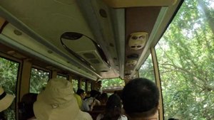 БАЛИ-АВТОТРИП! ЧТО ПОСМОТРЕТЬ?Рекомендую ТОП 11МЕСТ из 18!