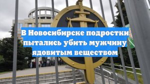 В Новосибирске подростки пытались убить мужчину ядовитым веществом
