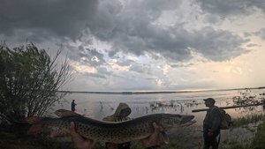 Рыбалка на Амуре: Улов зубастой!