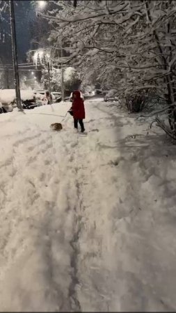 VID-20241123-WA0017.mp4