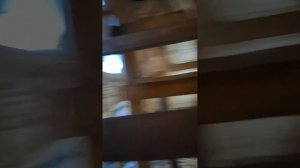 1000030401.mp4 (Собака наблюдает за креплением каркаса для имитации бруса в доме А-фрейм)