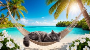Релакс. Мурчание кота. Мурлыкание кота - антистресс. Для успокоения и востановления нервной системы