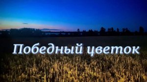 Победный цветок. Стихи - Э.Роузи, генерация звука в ИИ - В.Гарсия, монтаж - Е.Доставалов