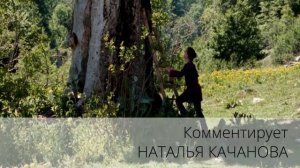 КИНОметафора: комментарий 13 | автор Наталья Качанова