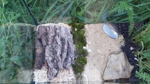 Спасение Мейбл. Лето в деревне.