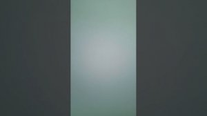 сегодня праздник