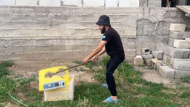 Как поступить с китайским инкубатором смотреть онлайн