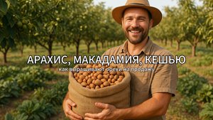 Макадамия, кешью, арахис: как фермеры выращивают орехи по всему миру