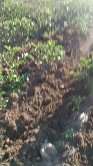 картошка🔥Бегом за 🚜! Окучник настроили и на неработает 🙈 На доработку! #farming #огород  #приколы