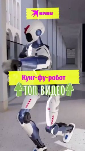 Кунг-фу-робот