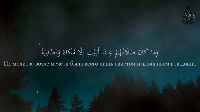 Мухаммад аль-Люхайдан, сура 8 Аль-Анфаль | Трофеи смотреть онлайн