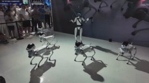 🤖Шоу роботов на WAIC-2025