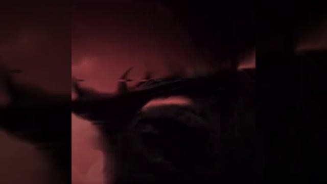 эдит Суккуна