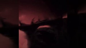 эдит Суккуна