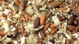 ❄  Как прорастить косточки кизила в домашних условиях