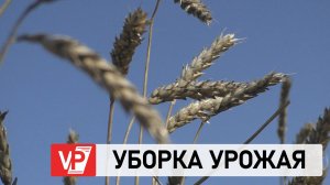 ВОЛГОГРАДСКИЕ АГРАРИИ ЗА ТРИ НЕДЕЛИ СОБРАЛИ 4 МЛН ТОНН ЗЕРНА