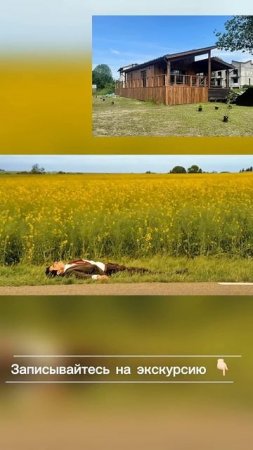 Как строятся дома из СИП панелей. Ждем всех на наших экскурсиях #загородныйдом #экскурсия