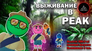 ВЫЖИВАНИЕ В PEAK...