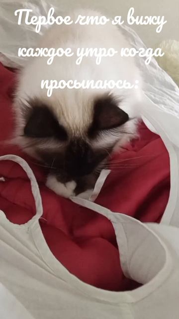 А что реально