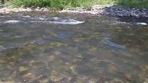 Речка! Журчат ручьи!