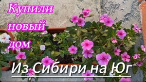 628ч🏡27.07.25-Не могу подключить монетизацию//Сарай строится//Цветы садятся//Жара стоит