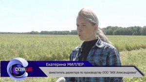 Подготовка к уборочной страде АКХ Александровка. Сузунский район.