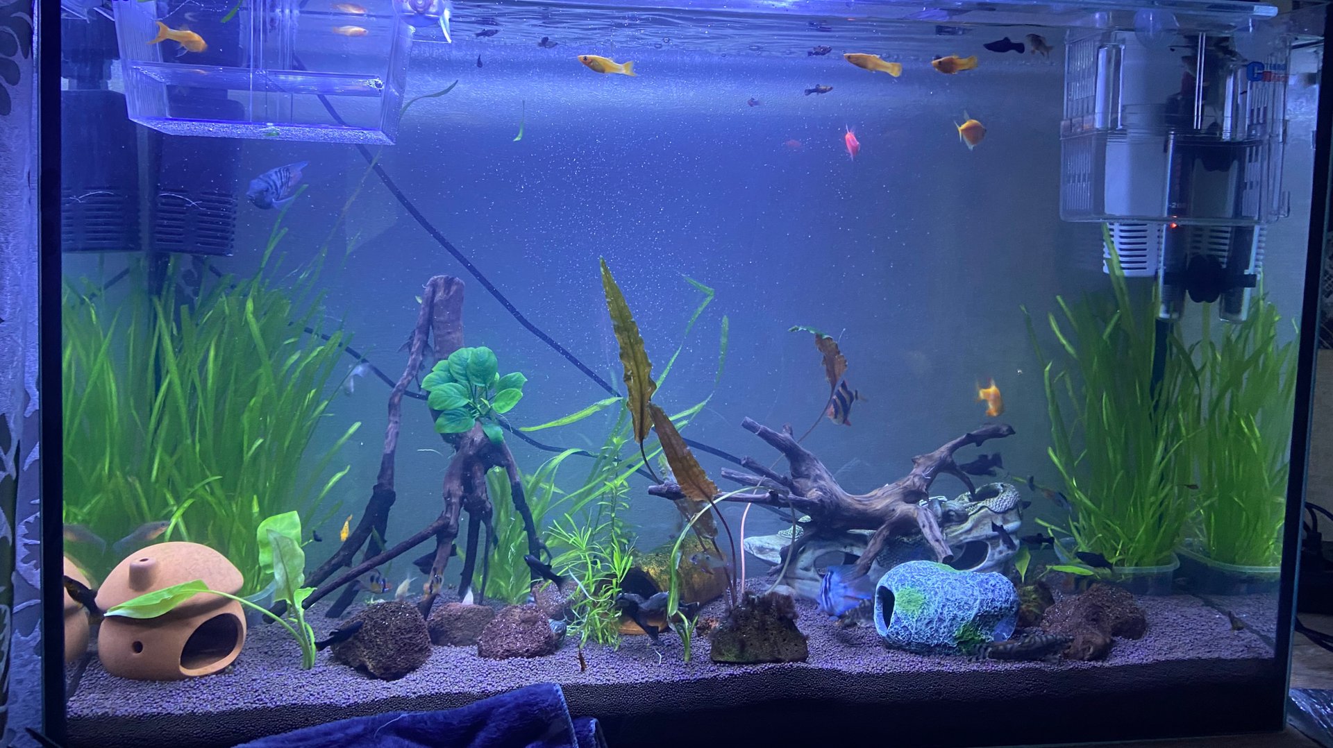 Новый аквариум