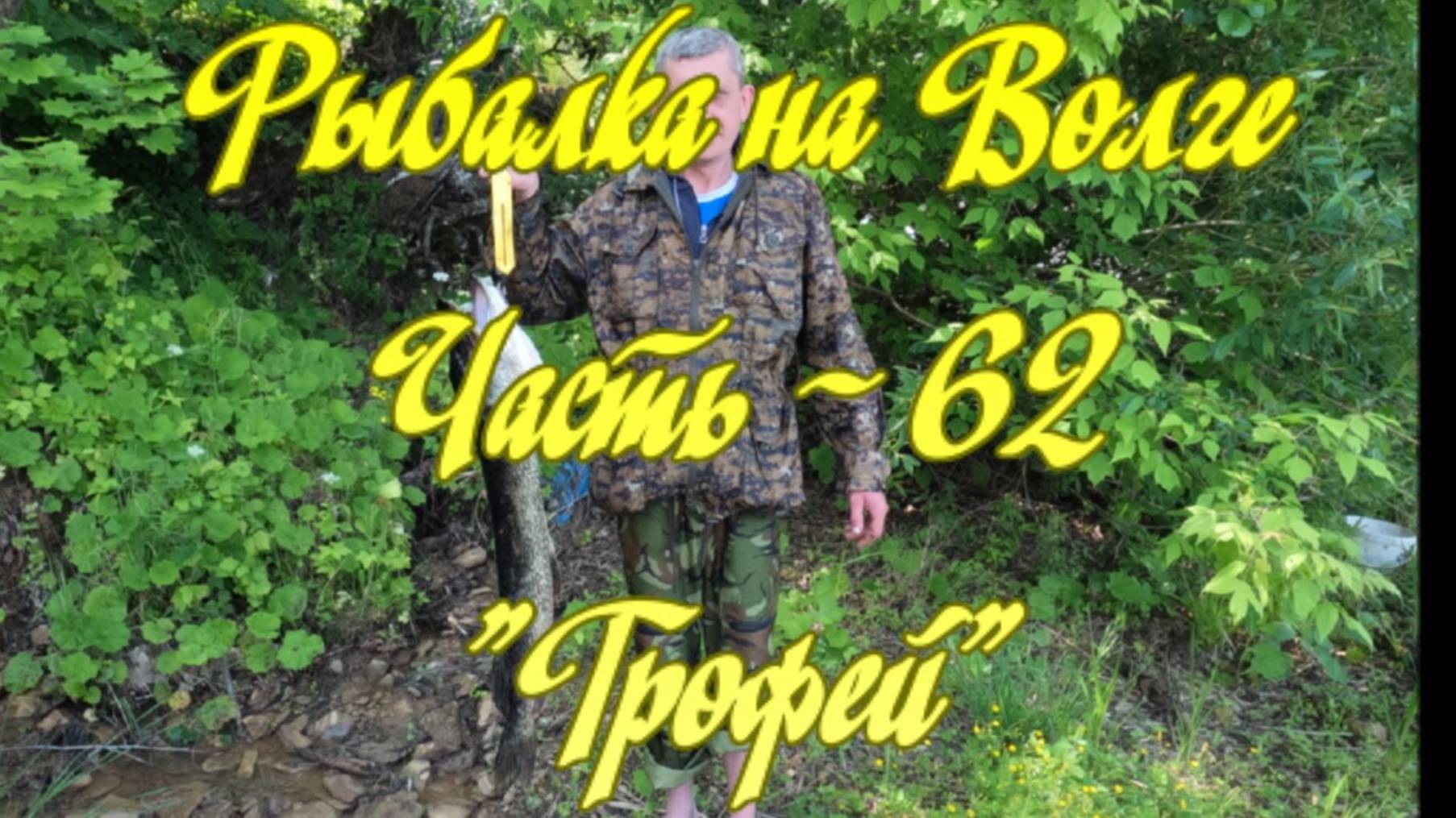 Рыбалка на Волге. Часть - 62. "Трофей".
