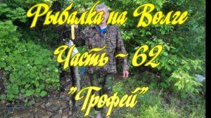 Рыбалка на Волге. Часть - 62. "Трофей".